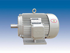 UL60335-2-34 certified electric motors